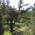 treehouse2